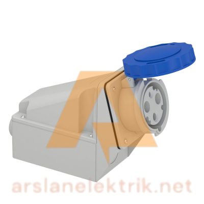 Schneider 81178 Pratika 200-250V AC 3x63A 2P+E Monofaze IP67 Vida Bağlantılı Eğik Duvar Prizi