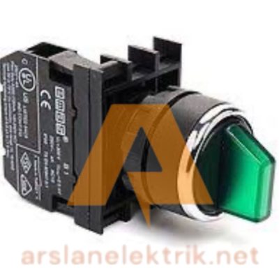 Emas B101SL30Y  B Serisi Plastik 2NO (II-0-I) 60° Seçici Kalıcı Işıklı Yeşil 22 mm Buton