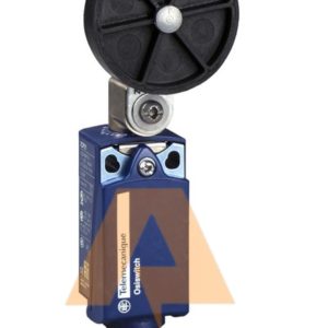 Telemecanique XCKP2139P16 Açısal Hareketli Makaralı Kollu Limit Siviç